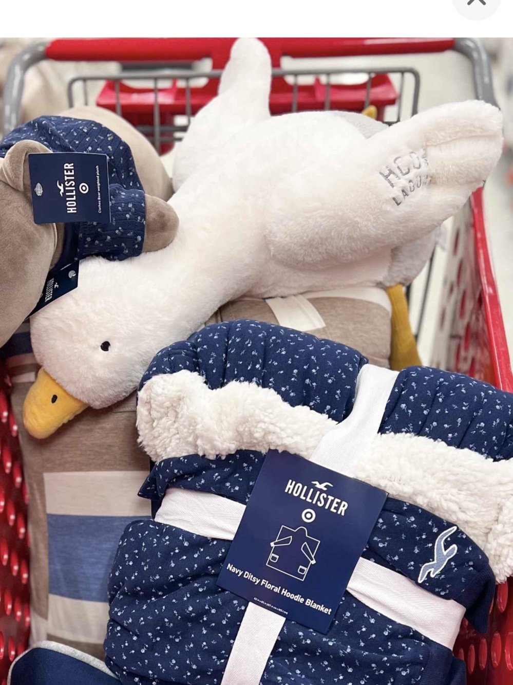Hollister x target Sam the Seagull weighted plush pillow